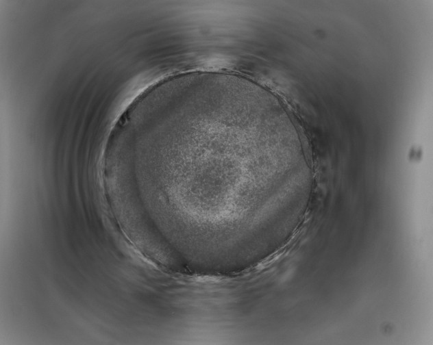 X0000098150242200805011414