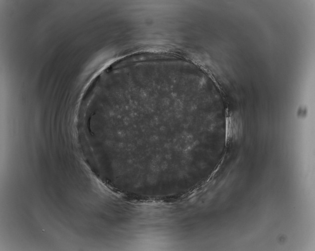 X0000098150243200805011414