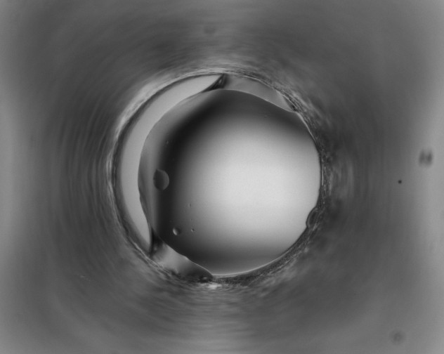 X0000098150244200805011414