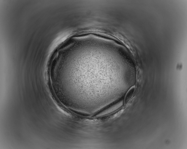 X0000098150245200805011414