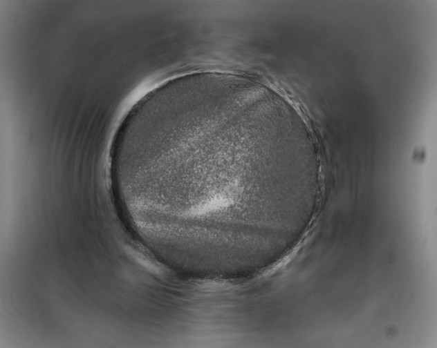 X0000098150246200805011414