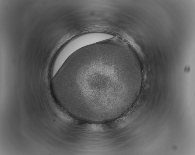 X0000098150250200805011414