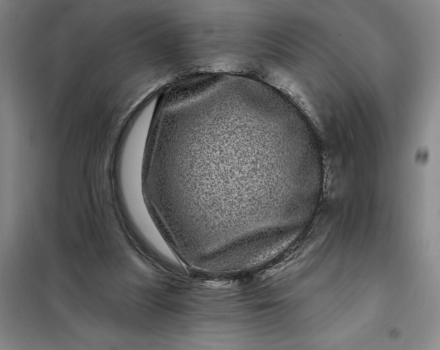X0000098150251200805011414