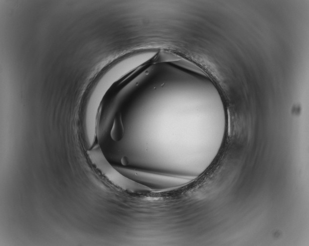 X0000098150252200805011414