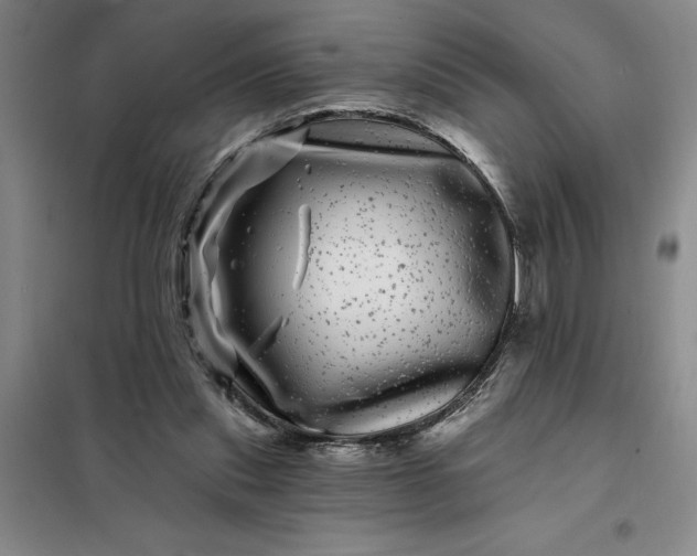 X0000098150253200805011414