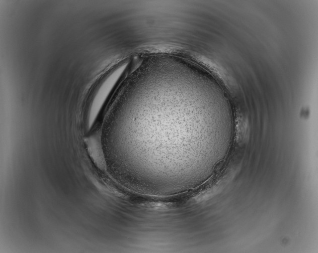 X0000098150254200805011414
