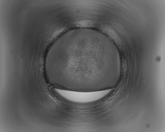 X0000098150255200805011414