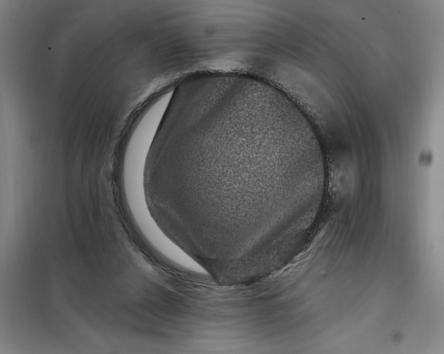 X0000098150256200805011414