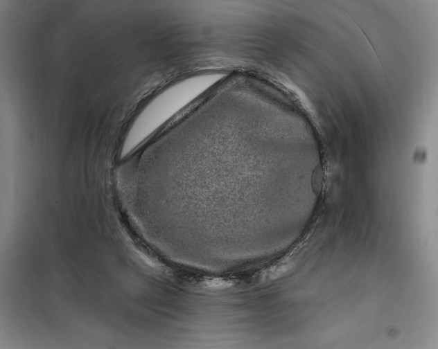 X0000098150257200805011414