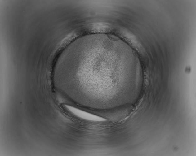 X0000098150258200805011414