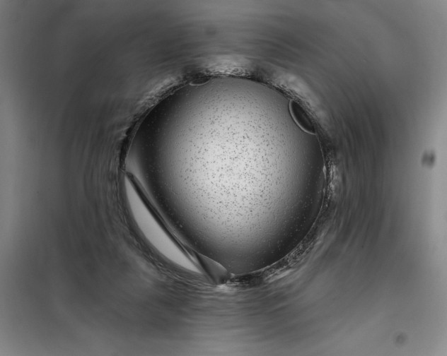 X0000098150259200805011414