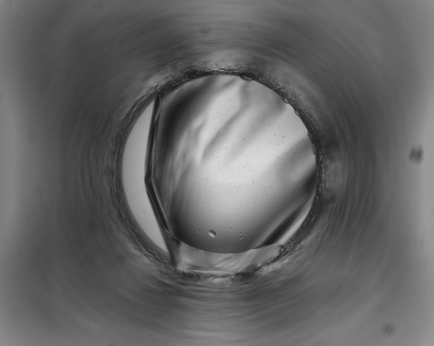 X0000098150260200805011414