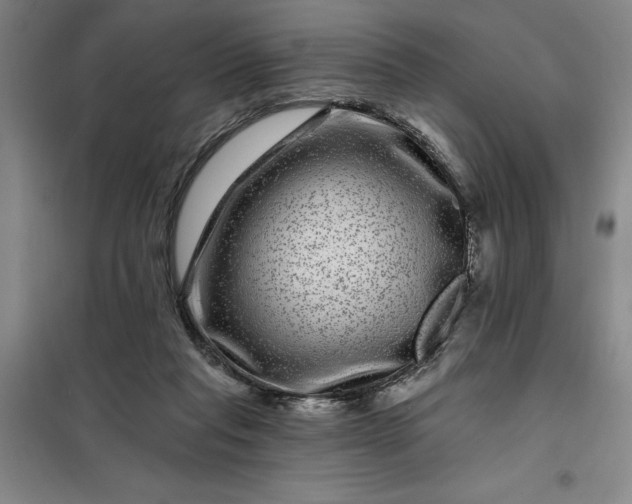 X0000098150261200805011414