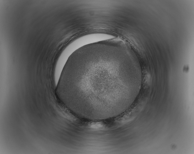 X0000098150262200805011414