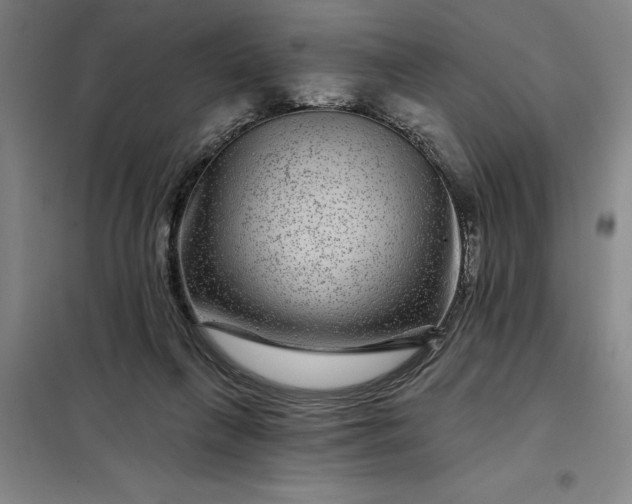 X0000098150263200805011414