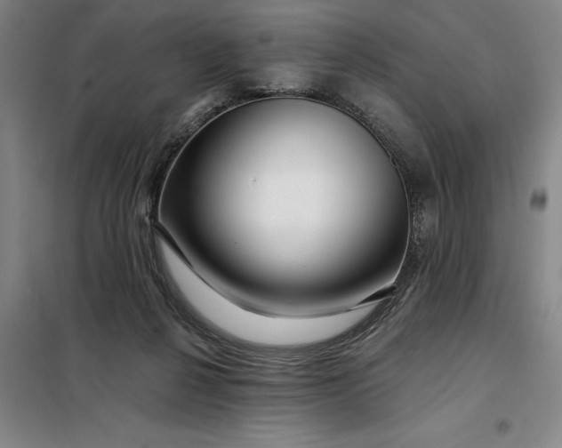 X0000098150264200805011414