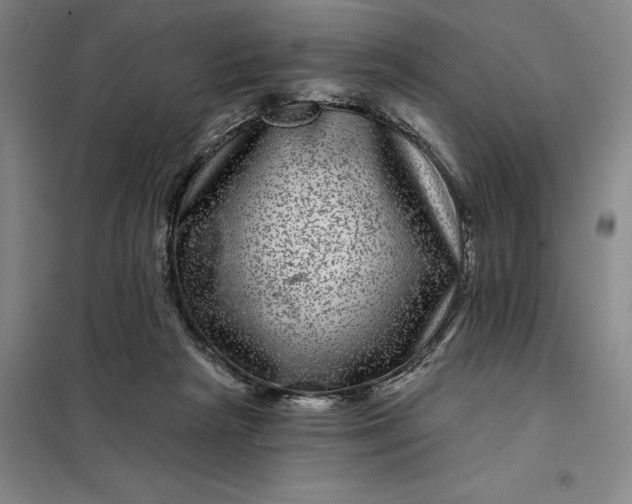 X0000098150265200805011414