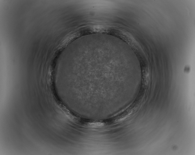 X0000098150266200805011414