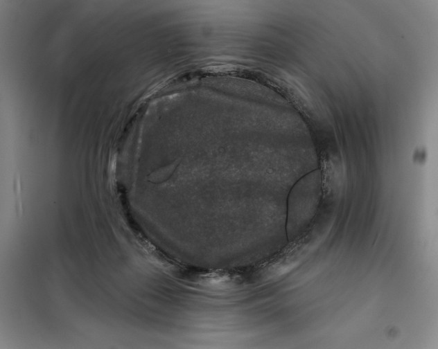 X0000098150267200805011414
