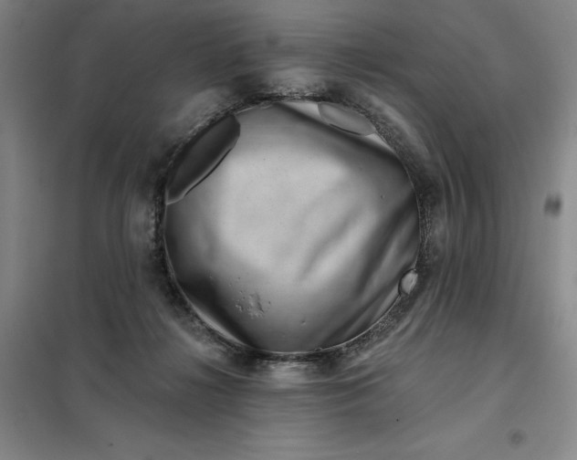 X0000098150268200805011414