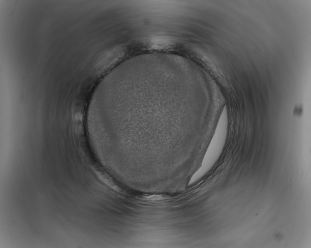 X0000098150269200805011414