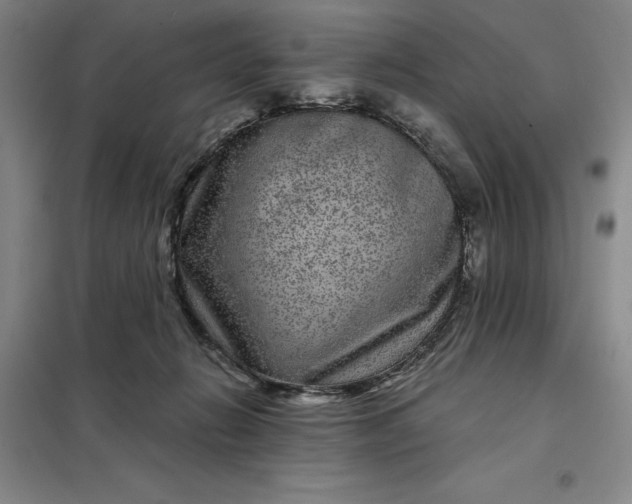 X0000098150270200805011414