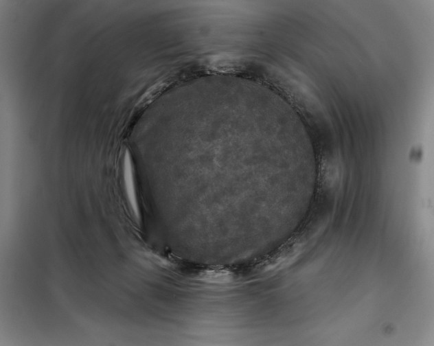X0000098150271200805011414