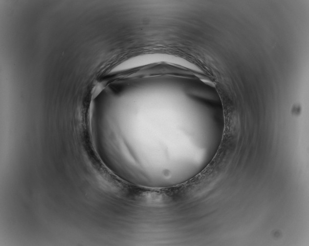X0000098150272200805011414