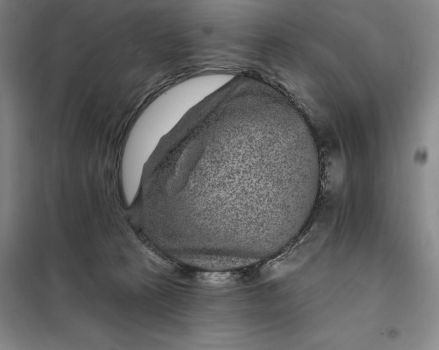 X0000098150273200805011414