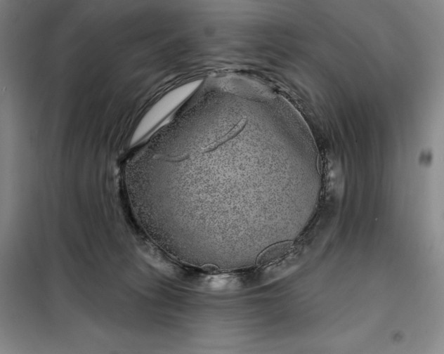 X0000098150275200805011414