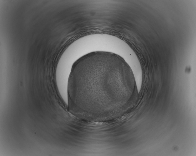 X0000098150276200805011414