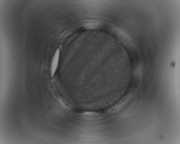 X0000098150277200805011414