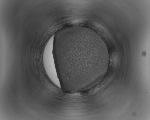 X0000098150278200805011414