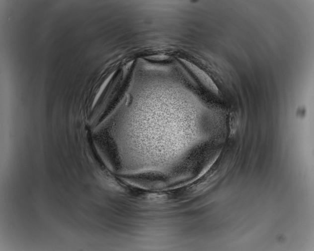 X0000098150279200805011415