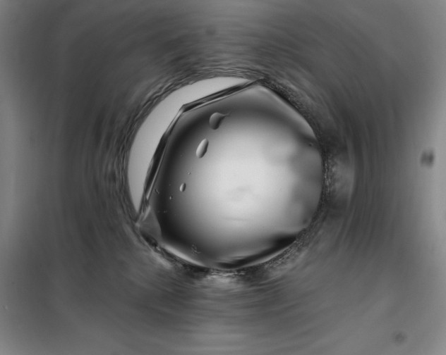 X0000098150280200805011415