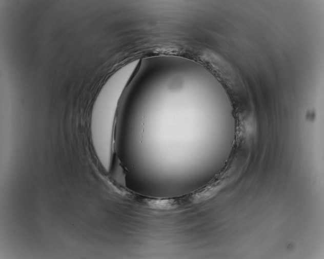 X0000098150281200805011415