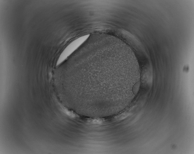 X0000098150282200805011415