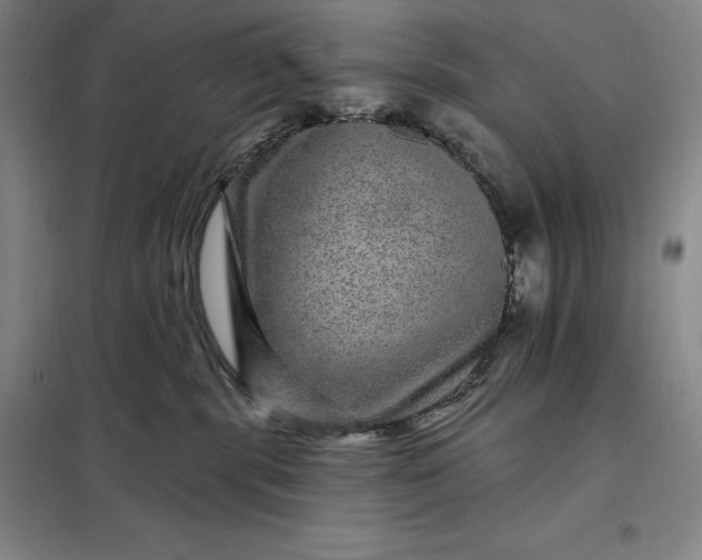 X0000098150283200805011415
