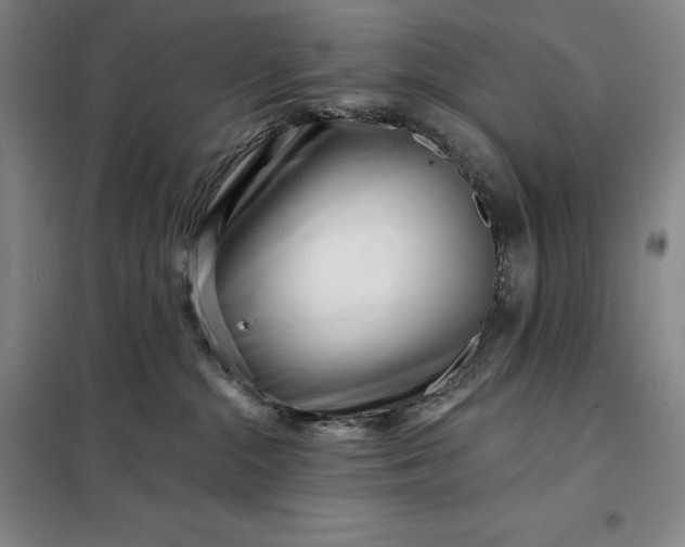 X0000098150284200805011415