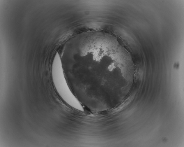 X0000098150285200805011415