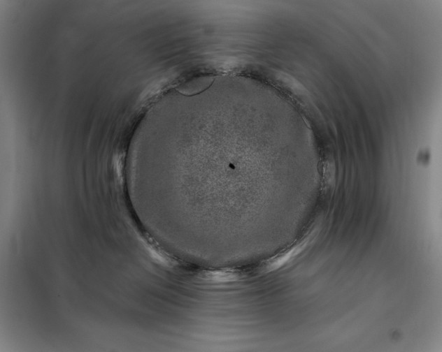 X0000098150286200805011415