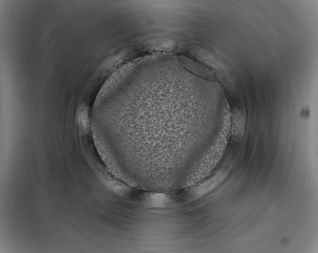 X0000098150287200805011415