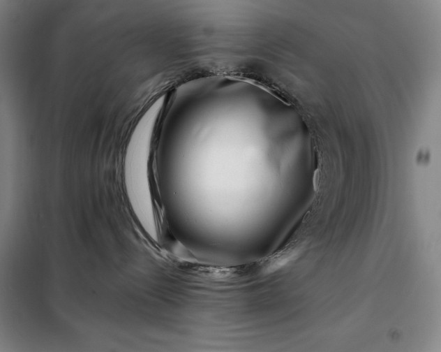 X0000098150288200805011415