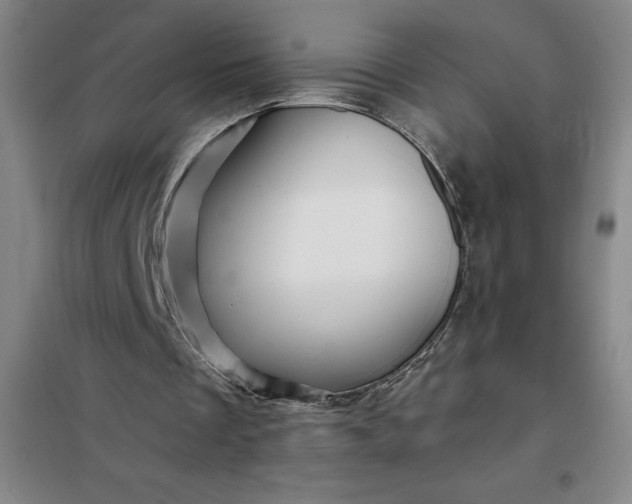 X0000098150289200805011414