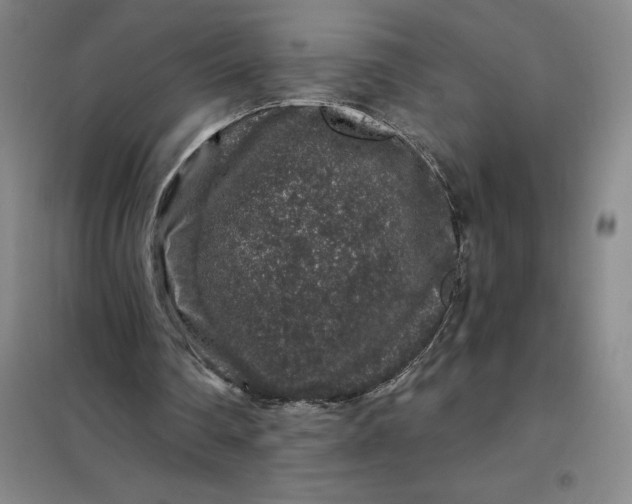 X0000098150290200805011414