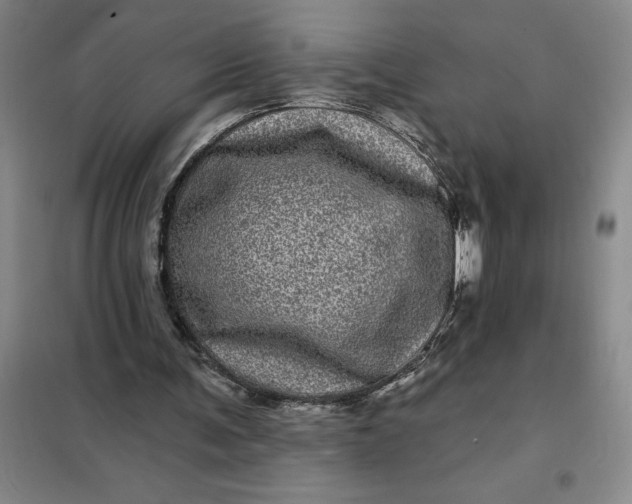 X0000098150291200805011414