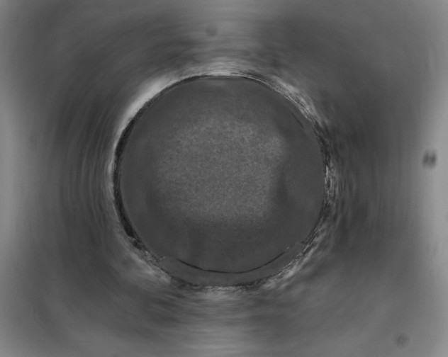 X0000098150292200805011414