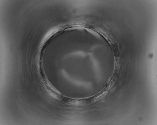 X0000098150293200805011414