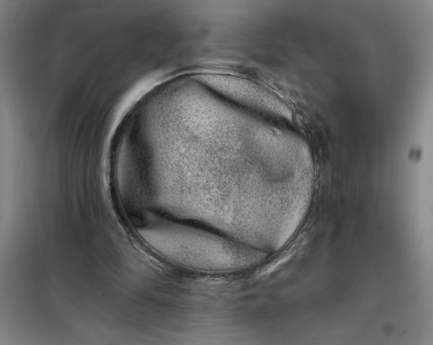 X0000098150294200805011414