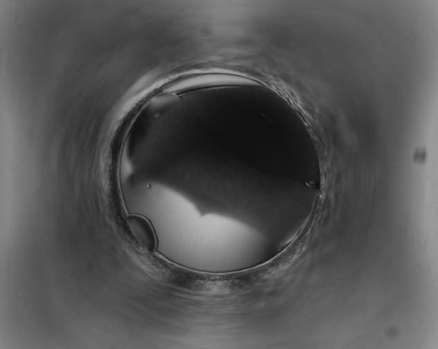 X0000098150295200805011414